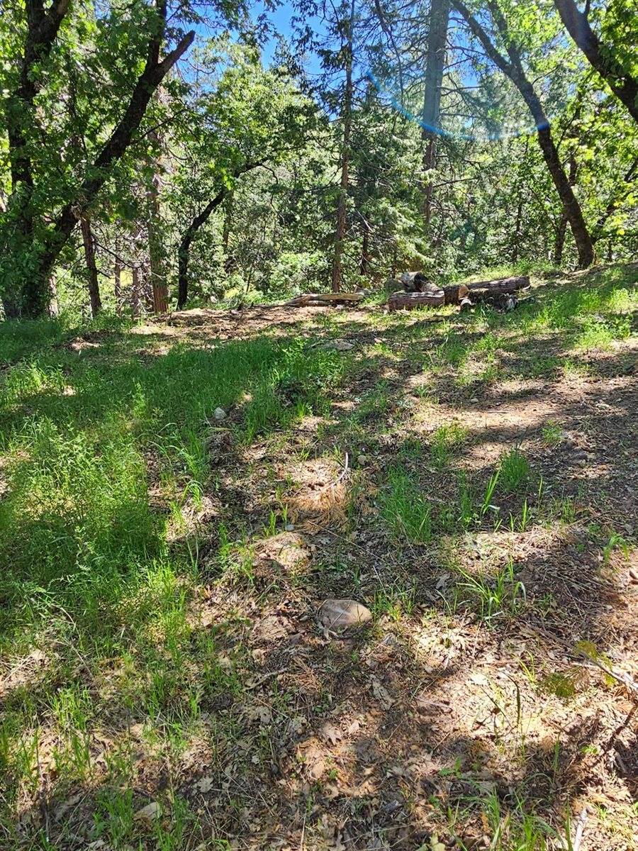 5148 Wylderidge Drive, Murphys, CA 95247