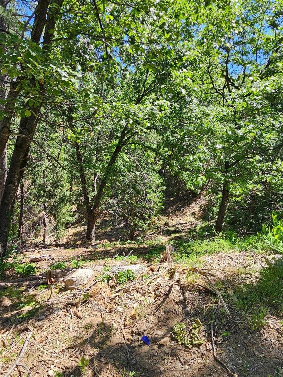 5148 Wylderidge Drive, Murphys, CA 95247