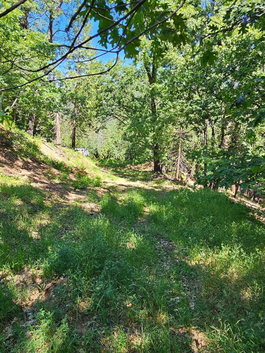 5148 Wylderidge Drive, Murphys, CA 95247