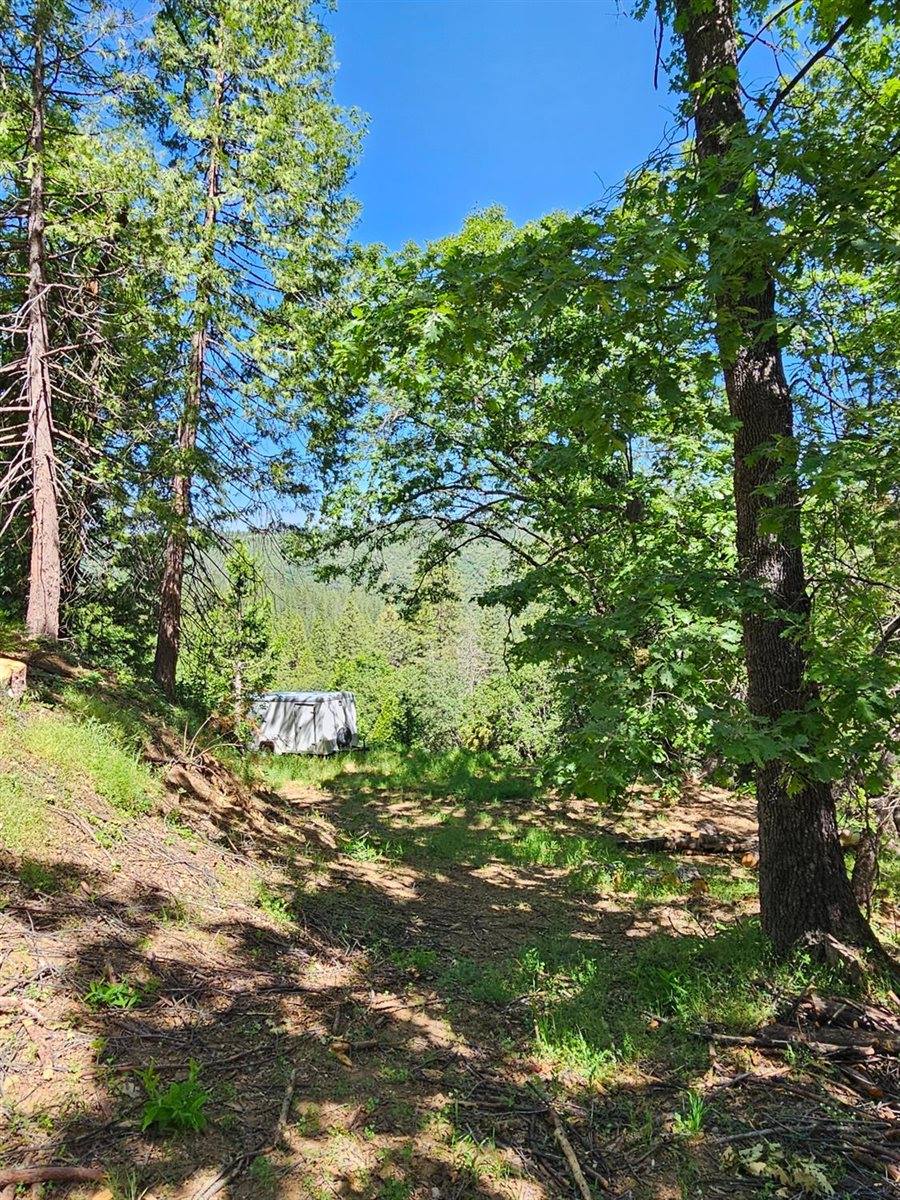 5148 Wylderidge Drive, Murphys, CA 95247