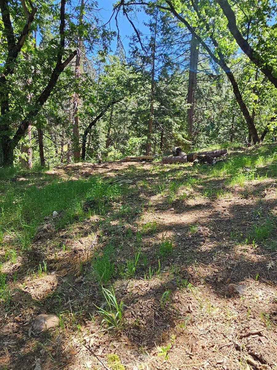 5148 Wylderidge Drive, Murphys, CA 95247