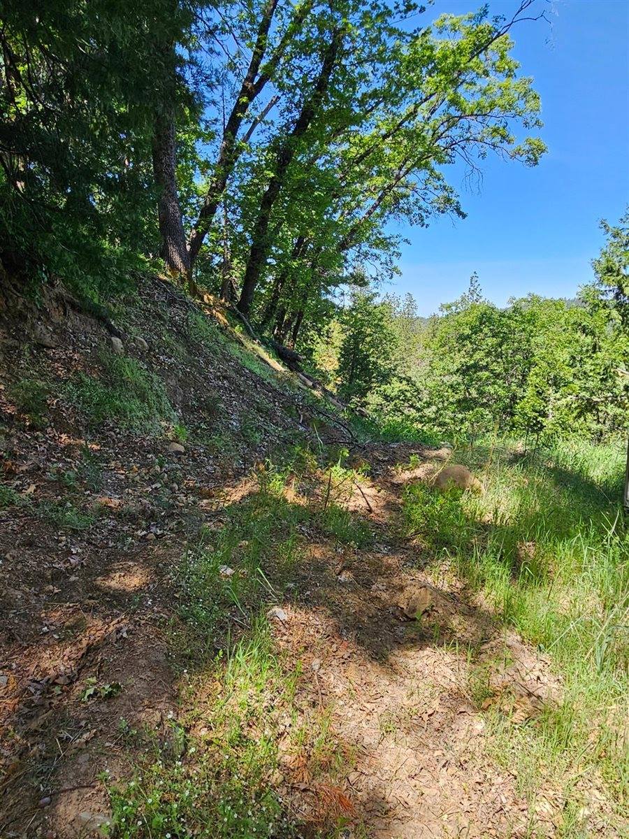 5148 Wylderidge Drive, Murphys, CA 95247