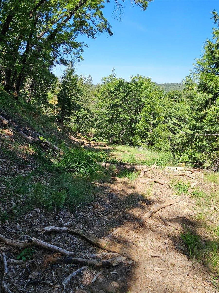 5148 Wylderidge Drive, Murphys, CA 95247