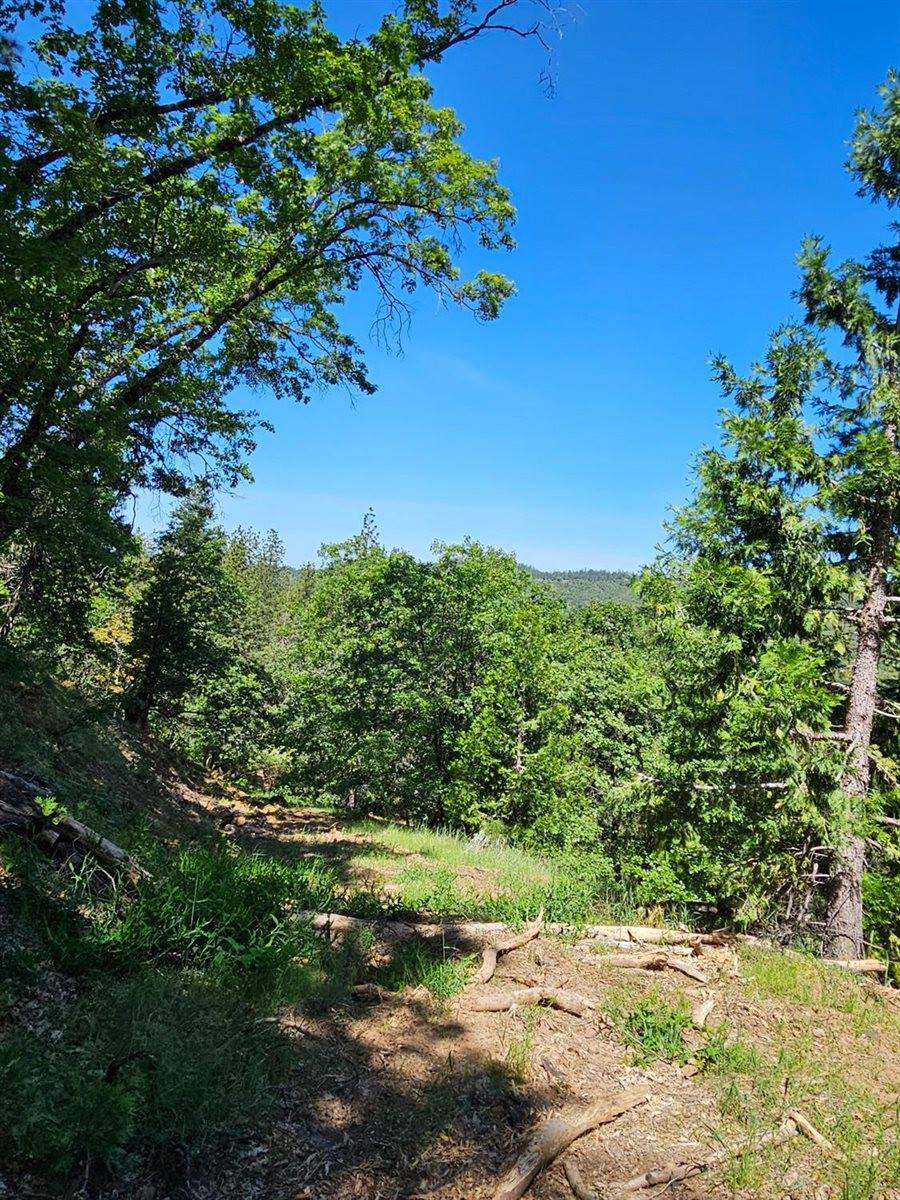 5148 Wylderidge Drive, Murphys, CA 95247