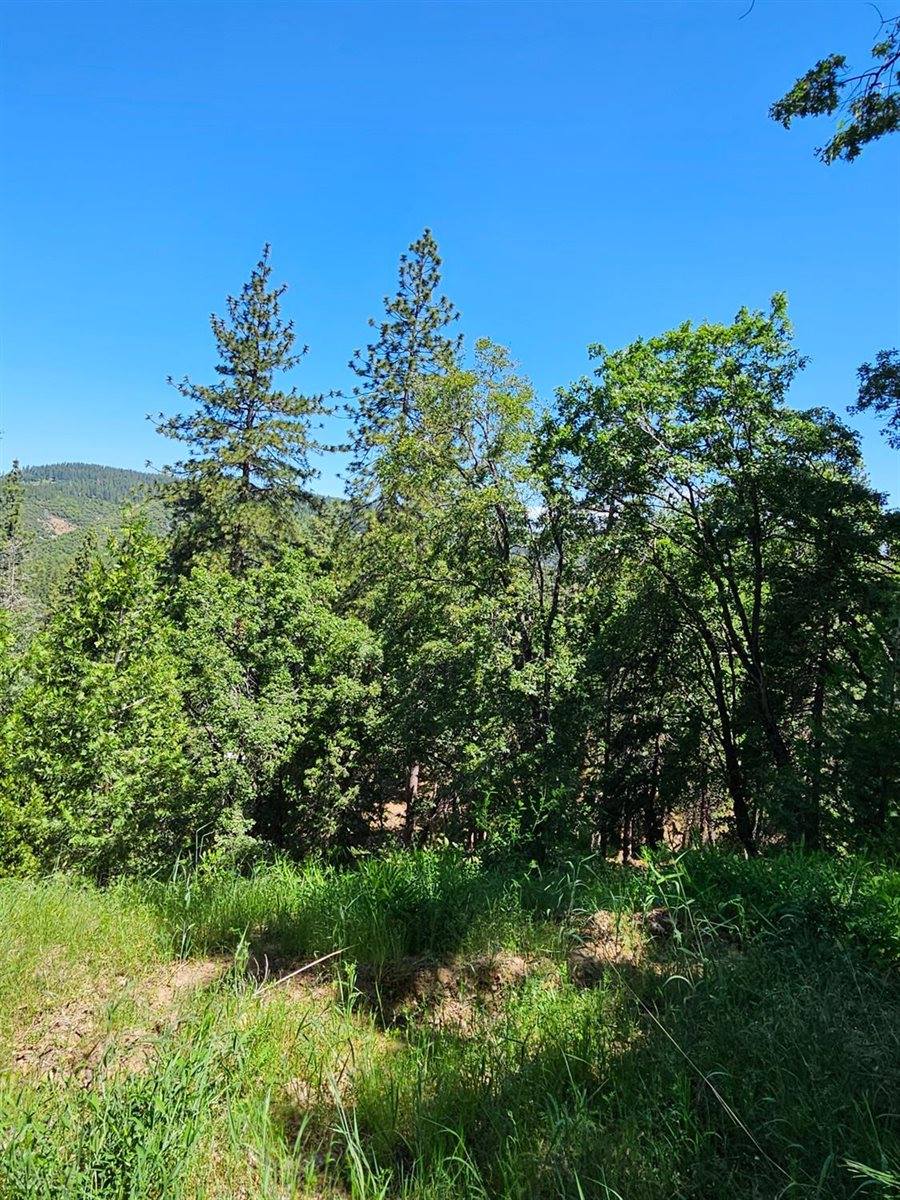 5148 Wylderidge Drive, Murphys, CA 95247