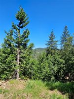 5148 Wylderidge Drive, Murphys, CA 95247