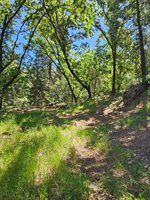 5148 Wylderidge Drive, Murphys, CA 95247