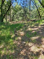 5148 Wylderidge Drive, Murphys, CA 95247