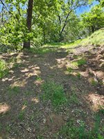 5148 Wylderidge Drive, Murphys, CA 95247