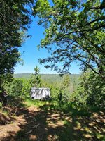 5148 Wylderidge Drive, Murphys, CA 95247