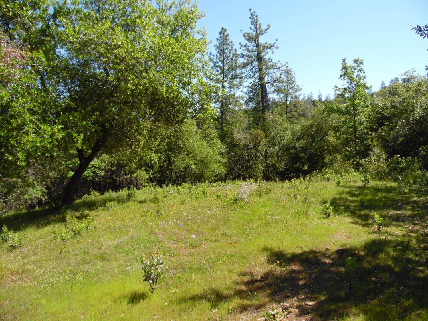 6101 Pappalardo Promenade, Murphys, CA 95247