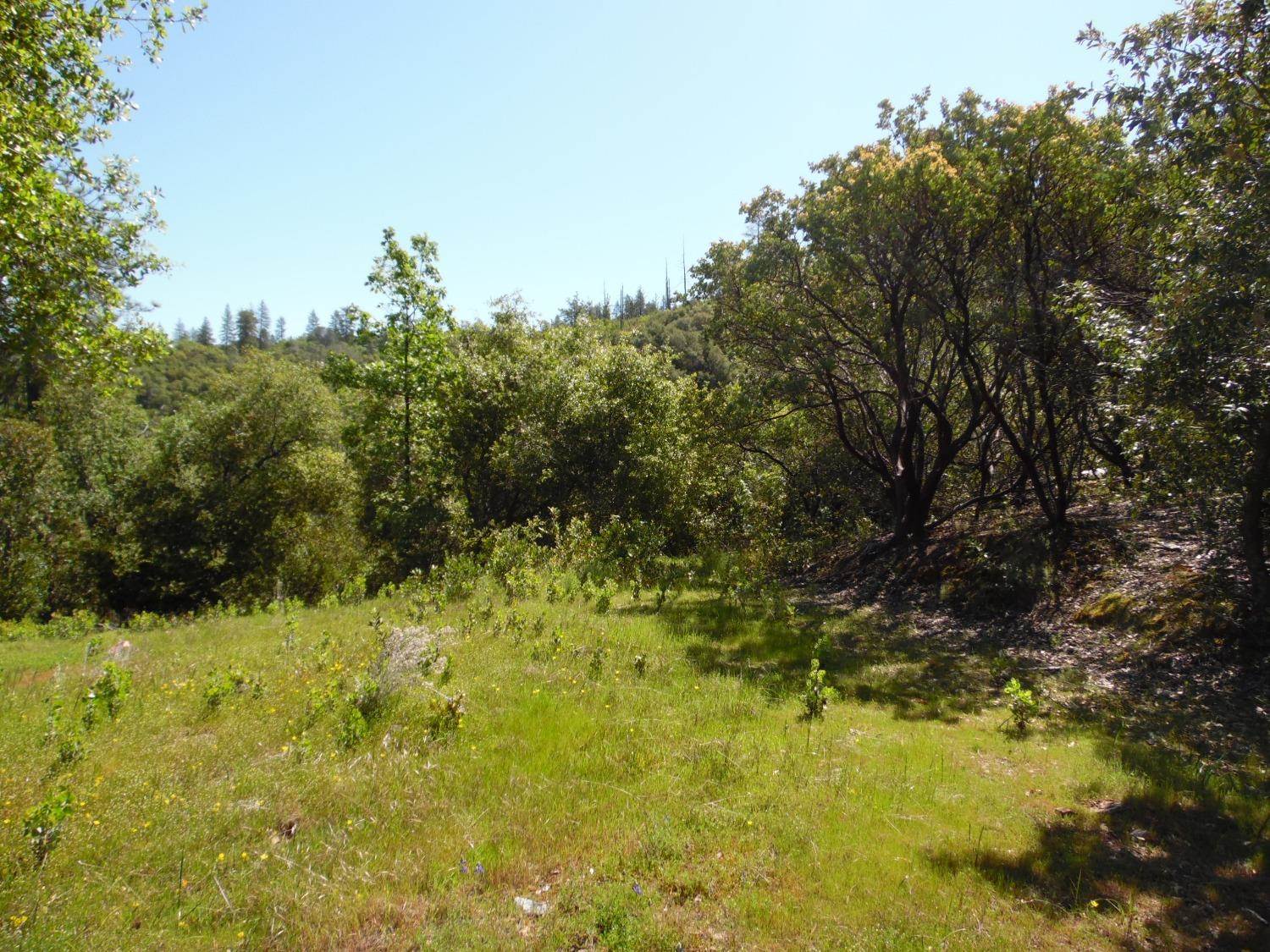 6101 Pappalardo Promenade, Murphys, CA 95247