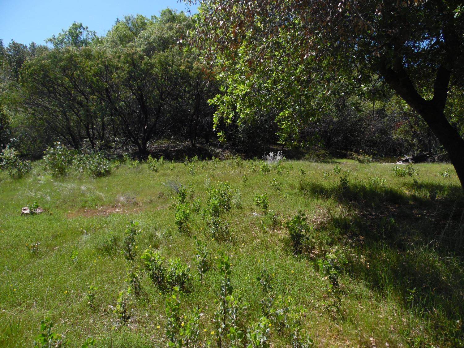 6101 Pappalardo Promenade, Murphys, CA 95247