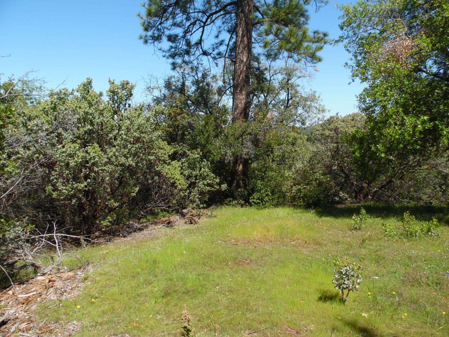 6101 Pappalardo Promenade, Murphys, CA 95247