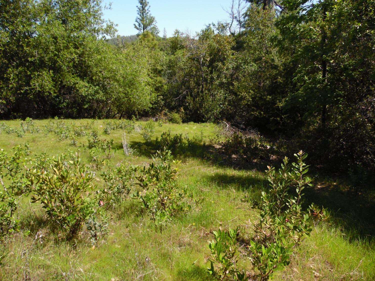 6101 Pappalardo Promenade, Murphys, CA 95247