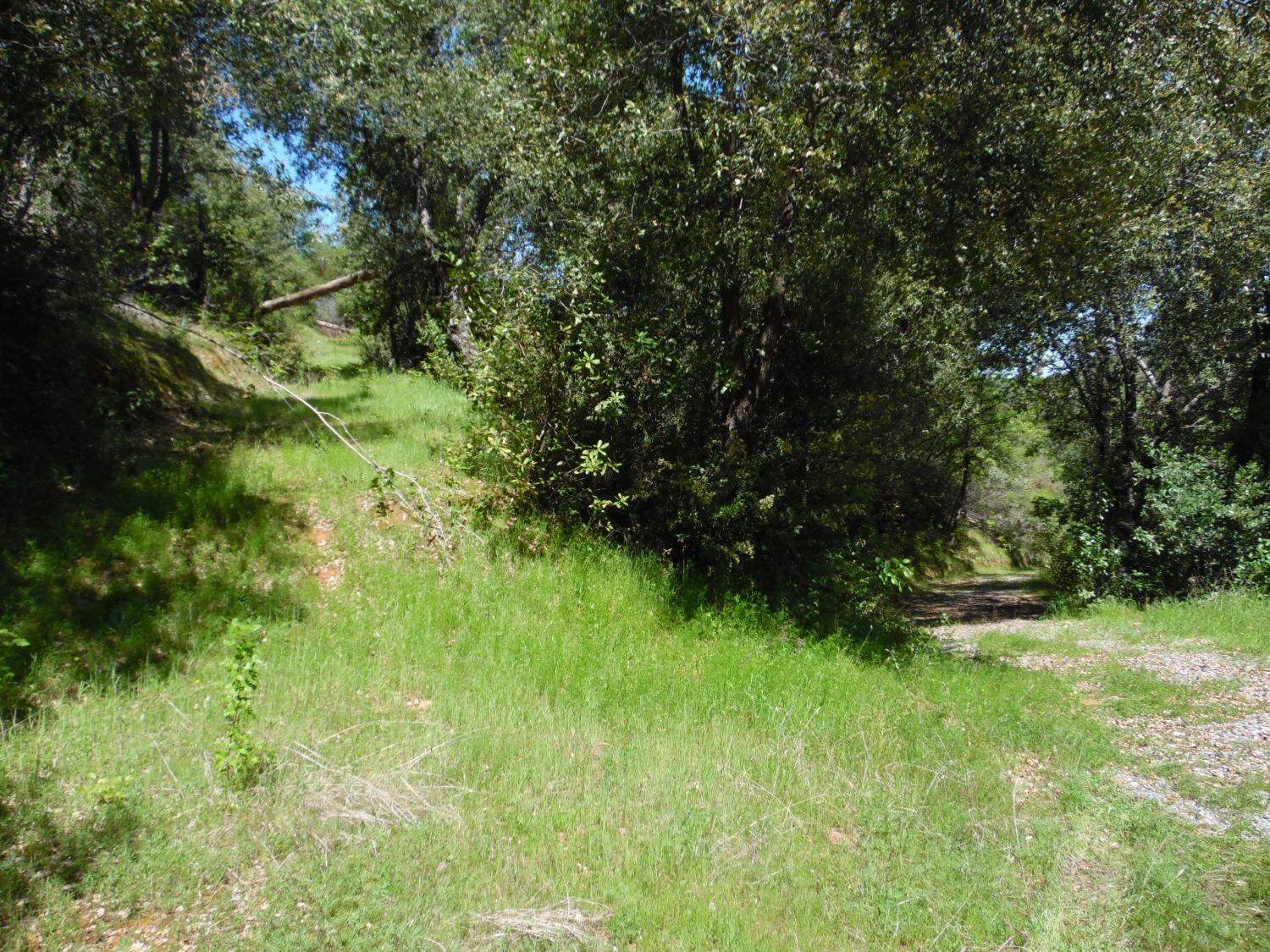 6101 Pappalardo Promenade, Murphys, CA 95247