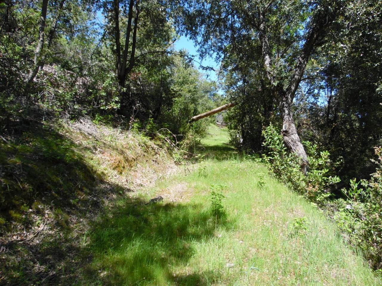 6101 Pappalardo Promenade, Murphys, CA 95247