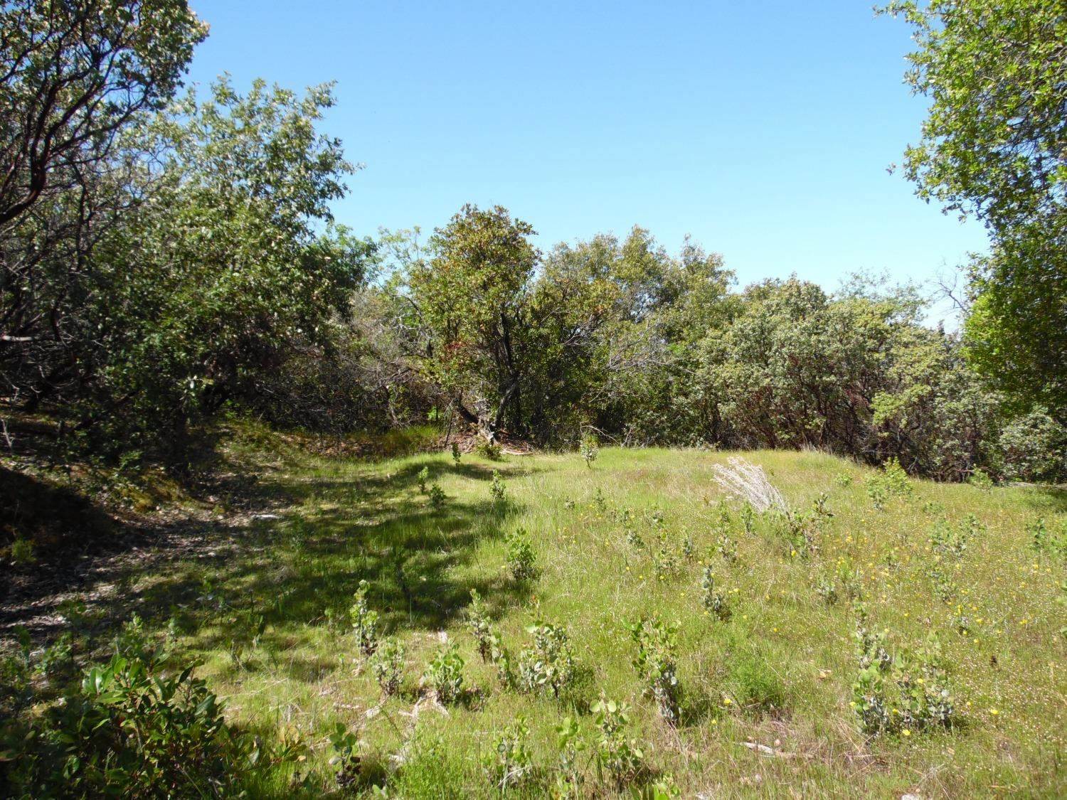 6101 Pappalardo Promenade, Murphys, CA 95247