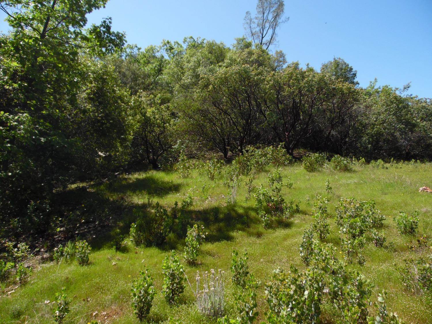 6101 Pappalardo Promenade, Murphys, CA 95247