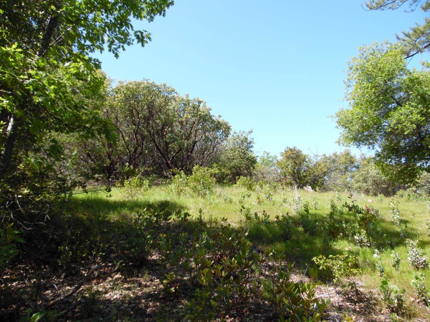 6101 Pappalardo Promenade, Murphys, CA 95247