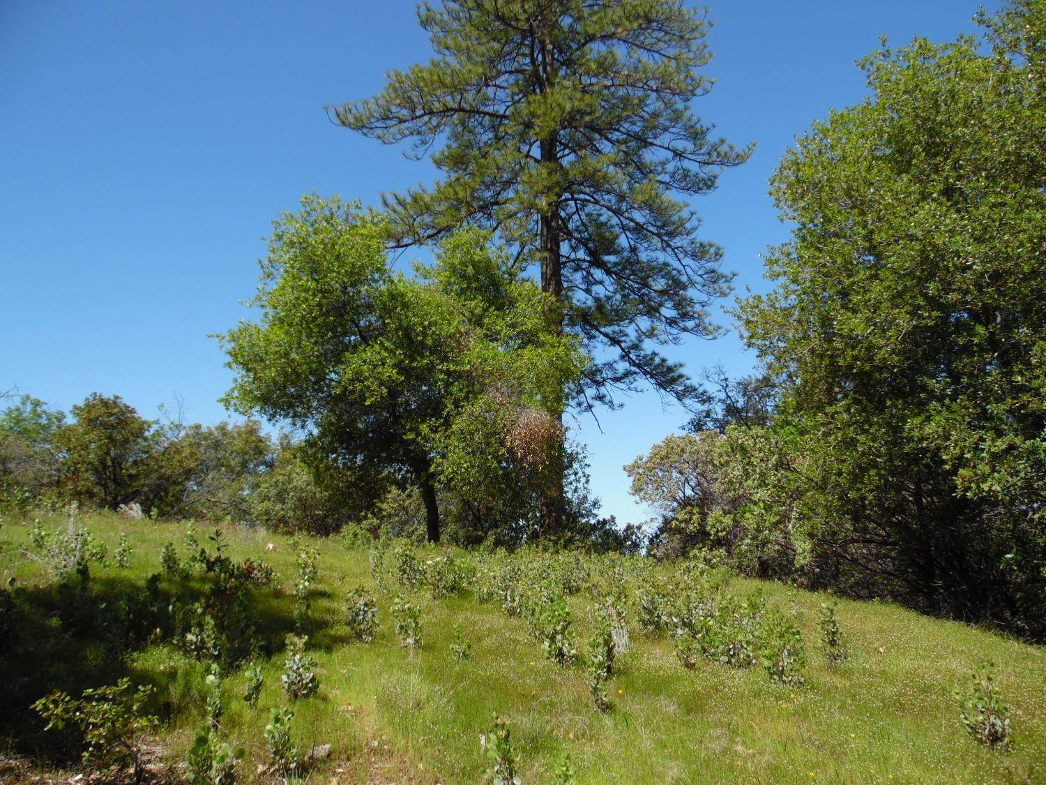 6101 Pappalardo Promenade, Murphys, CA 95247