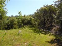 6101 Pappalardo Promenade, Murphys, CA 95247