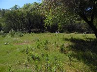 6101 Pappalardo Promenade, Murphys, CA 95247