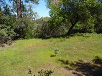 6101 Pappalardo Promenade, Murphys, CA 95247