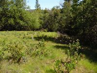 6101 Pappalardo Promenade, Murphys, CA 95247