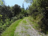 6101 Pappalardo Promenade, Murphys, CA 95247