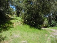 6101 Pappalardo Promenade, Murphys, CA 95247