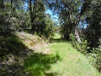 6101 Pappalardo Promenade, Murphys, CA 95247