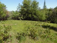 6101 Pappalardo Promenade, Murphys, CA 95247