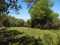 6101 Pappalardo Promenade, Murphys, CA 95247