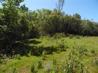 6101 Pappalardo Promenade, Murphys, CA 95247