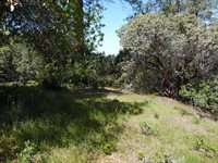 6101 Pappalardo Promenade, Murphys, CA 95247