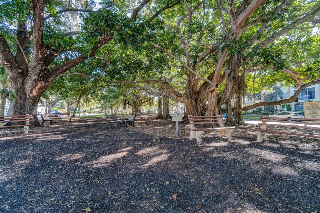 Panda Road, Venice, FL 34293