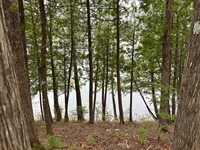 135 West Conroy Lake Road, Monticello, ME 04760