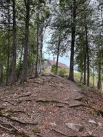 135 West Conroy Lake Road, Monticello, ME 04760