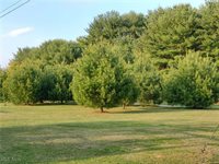 64575 Falcon Lane, Cambridge, OH 43725