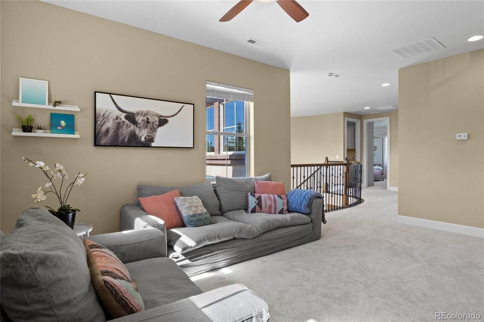 6878 Northstar Ct, Castle Rock, CO 80108