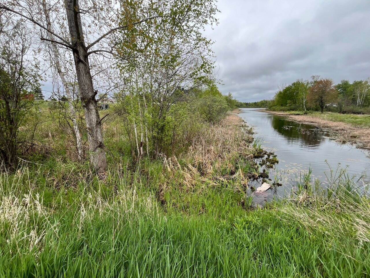 5 & 6 Elm Drive, West Branch, MI 48661