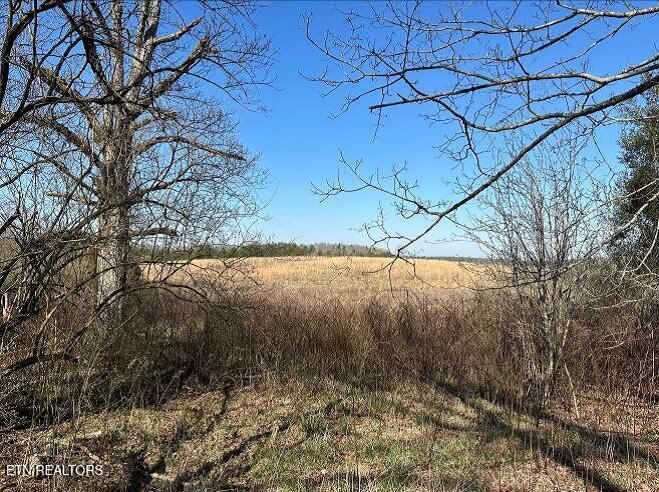 174 Stanley Bates Rd, Lancing, TN 37770