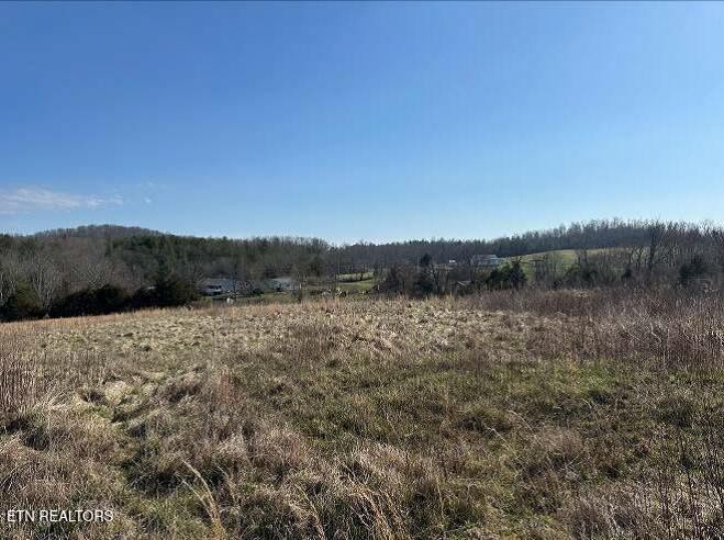 174 Stanley Bates Rd, Lancing, TN 37770