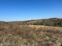 174 Stanley Bates Rd, Lancing, TN 37770