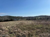 174 Stanley Bates Rd, Lancing, TN 37770