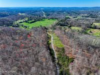 Carter Mill Drive Drive, Knoxville, TN 37924
