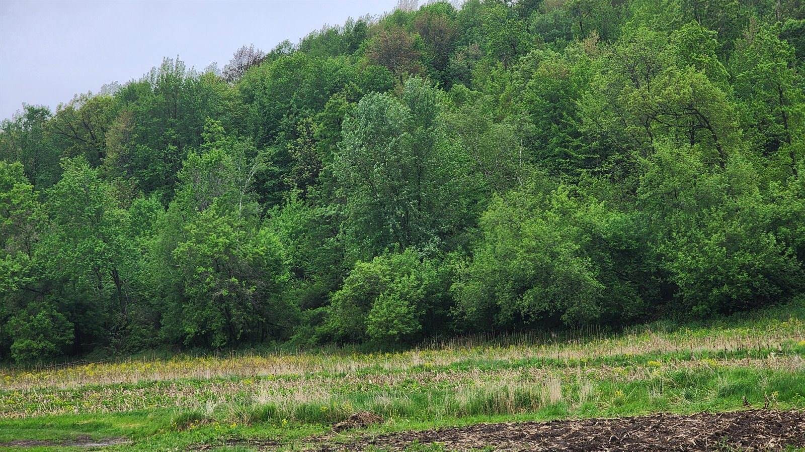 9182 State Highway 27, Sparta, WI 54656