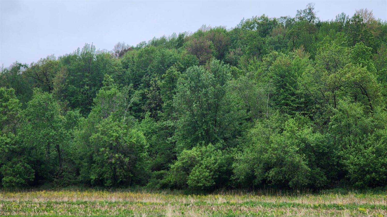 9182 State Highway 27, Sparta, WI 54656