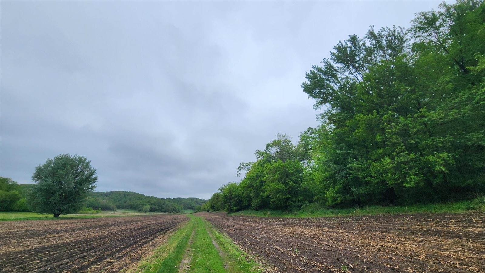 9182 State Highway 27, Sparta, WI 54656